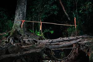 BIB: 
                            <button type="button" onclick="openModal(27433504)" class="btn btn-primary btn-sm float-right btn-popup" data-toggle="modal" data-target=".modal-high-quality">
                        <i class="fas fa-shopping-cart"></i> Add to Cart
                    </button>
                                            <button type="button" onclick="isThisMe(27433504, true)" class="btn btn-success btn-sm float-right btn-popup btn-isme hidden" data-toggle="tooltip" data-placement="bottom" title="นี่คือรูปของคุณใช่ไหม คลิกที่นี่เพื่อเอาเข้าอัลบั้ม">
                        <i class="fas fa-plus"></i> Add to album
                    </button>
                    <button type="button" onclick="isThisMe(27433504, false)" class="btn btn-warning btn-sm float-right btn-popup btn-isnotme hidden">
                        <i class="fas fa-ban"></i> Remove from album
                    </button>